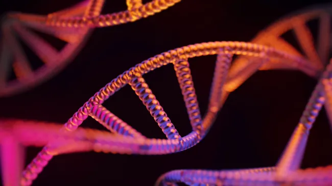 double helix dna